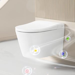 Bồn cầu treo KC946